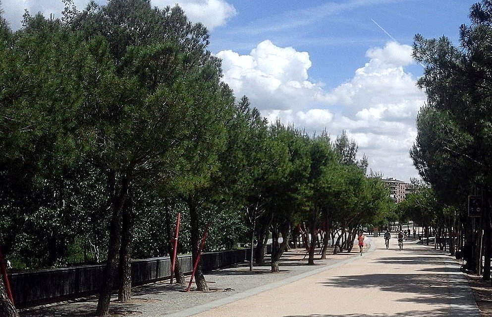 Salón de Pinos · Madrid Río