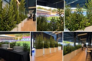 El Escartín continúa su transformación verde: del césped a la grada