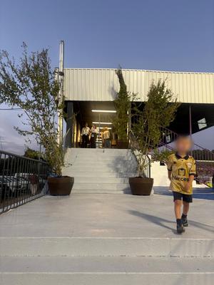 Acceso al palco con arbolado en contenedor